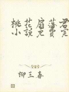 桃花扇落君不还小说免费完整版封面