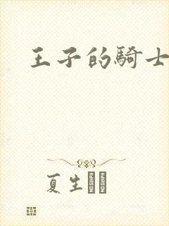 王子的骑士小说