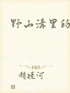 野山沟里的村庄封面