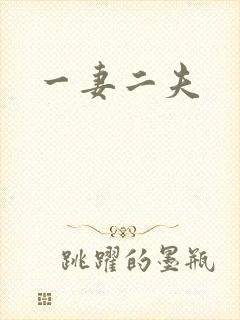 一妻二夫