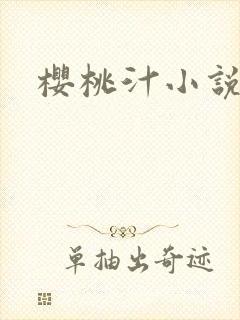 樱桃汁小说封面