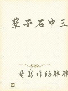 孽子石中玉