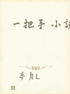 一把手 小说