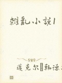杂乱小说1