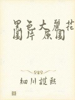 黑色大丽花真实图片 原图封面