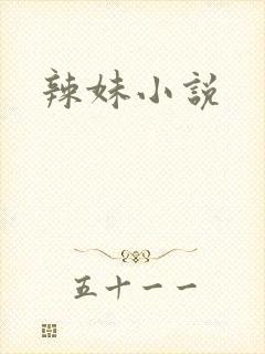 辣妹小说