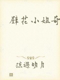 壁花小姐奇遇记封面