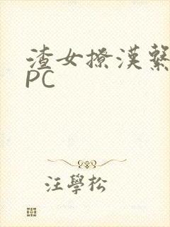 渣女撩汉系统NPC