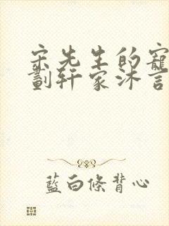 宋先生的宠妻计划轩家沐言