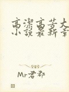 高洁高芳大团圆小说最新章节免费阅读封面