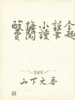 酸梅小说全文免费阅读笔趣阁