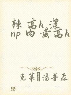 辣 高h 浓 np 肉 黄高h