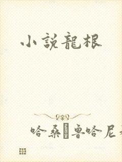小说龙根封面