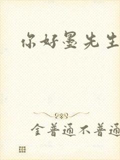 你好墨先生