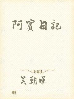 阿宾日记封面