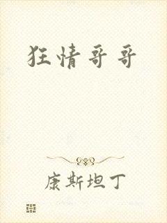 狂情哥哥封面