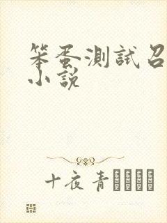 笨蛋测试召唤兽小说封面