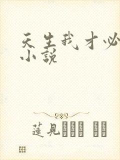 天生我才必有用小说封面