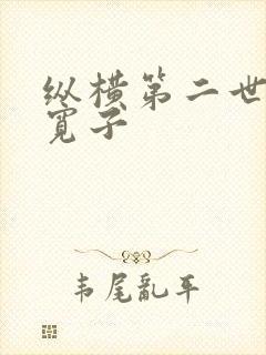 纵横第二世界 宽子