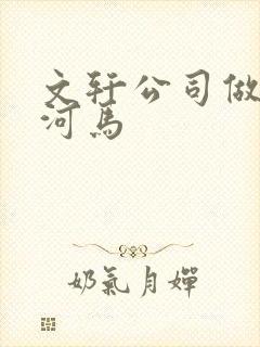 文轩公司做扩张河马封面