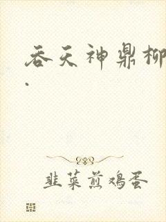 吞天神鼎柳无邪.