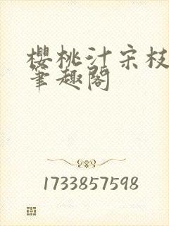 樱桃汁宋枝江野笔趣阁封面