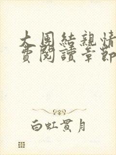 大团结亲情会免费阅读章节封面