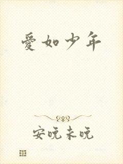 爱如少年封面