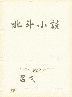 北斗小说