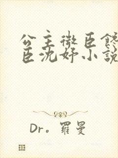 公主微臣馋了微臣沈妤小说封面