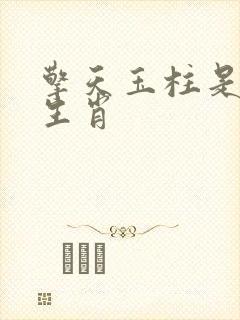 擎天玉柱是什么生肖封面