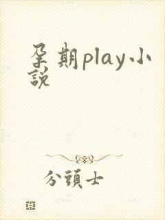 孕期play小说