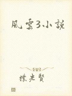 风云3小说