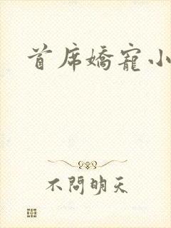 首席娇宠小情人