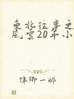 东北往事之黑道风云20年小说