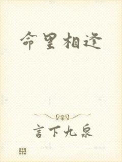 命里相逢封面