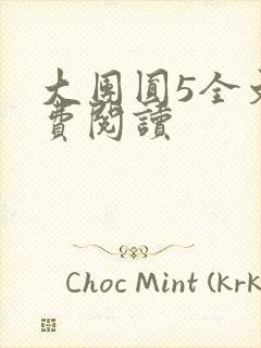 大团圆5全文免费阅读封面