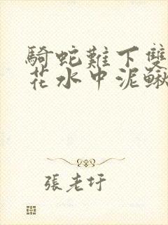 骑蛇难下双金银花水中泥鳅双男主