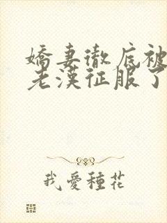 娇妻彻底被门卫老汉征服了封面