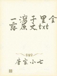 一泻千里金银花露原文txt