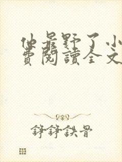 他最野了小说免费阅读全文