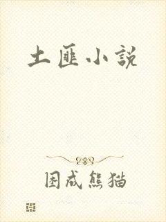 土匪小说
