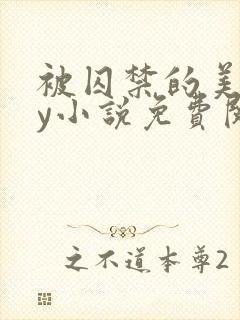 被囚禁的美人by小说免费阅读