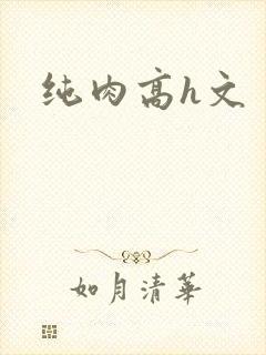 纯肉高h文