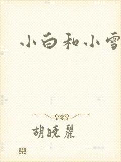 小白和小雪