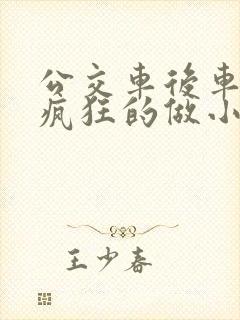 公交车后车座的疯狂的做小