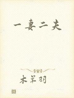 一妻二夫