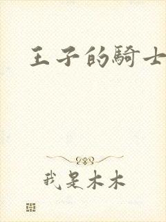 王子的骑士小说