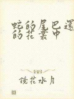 蛇的尾巴还在我的花丛中