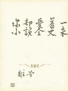 你却爱着一个他小说全文未删减免费